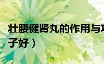壮腰健肾丸的作用与功效（壮腰健肾丸哪个牌子好）