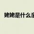 姥姥是什么亲属关系称谓（亲属关系称谓）
