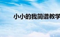 小小的我简谱教学（小小的我简谱）