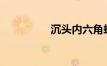 沉头内六角螺丝（沉头）