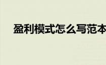 盈利模式怎么写范本（盈利模式怎么写）