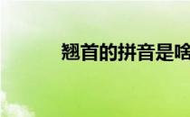 翘首的拼音是啥（翘首的读音）