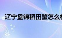 辽宁盘锦稻田蟹怎么样（辽宁盘锦稻田蟹）