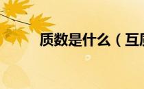 质数是什么（互质数是什么意思）