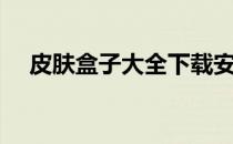 皮肤盒子大全下载安装（皮肤盒子大全）