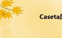 Caseta风扇评测