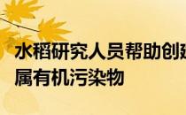 水稻研究人员帮助创建快速高温过程去除重金属有机污染物